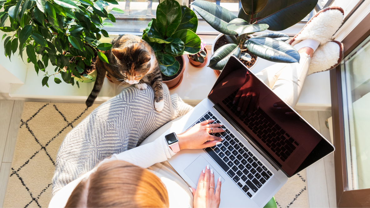 bienvenue chez nous - télétravail