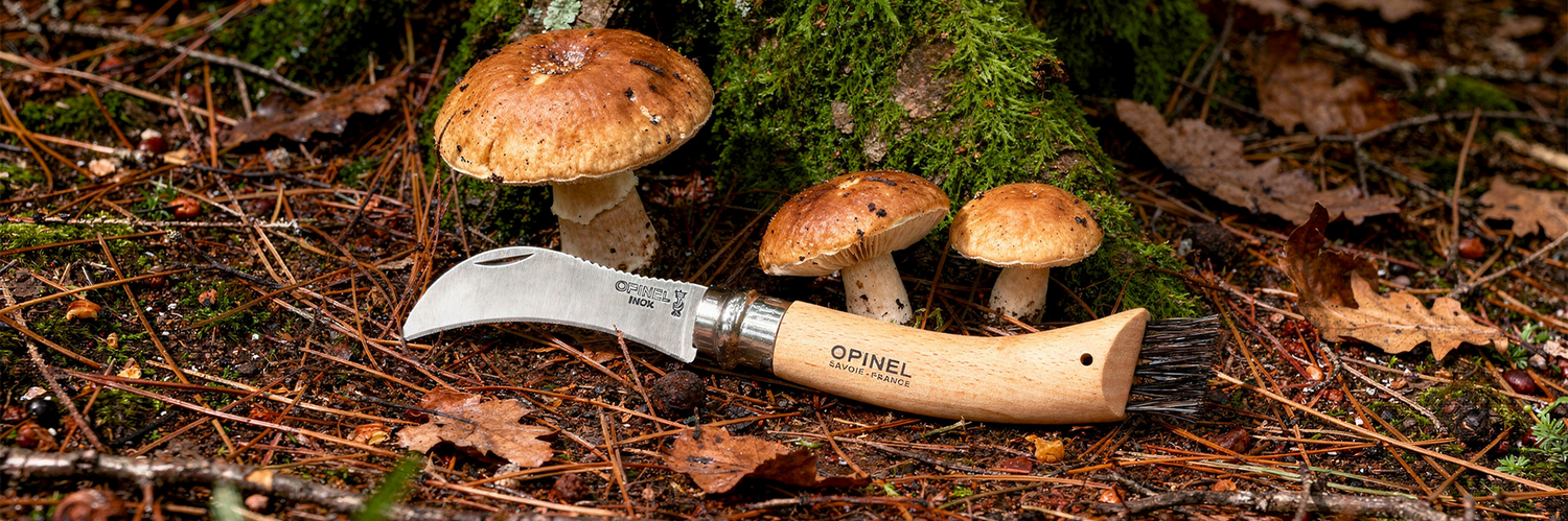 Comment bien choisir son couteau à champignon ? Le guide