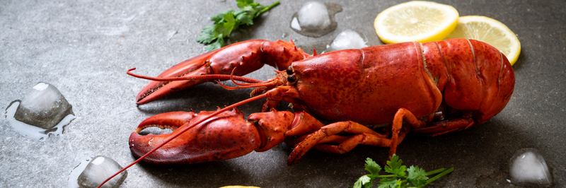 comment décortiquer un homard