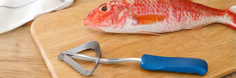 Comment écailler un poisson à la maison ? Nos méthodes simples et efficaces