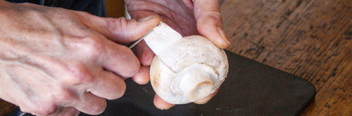 éplucher champignon