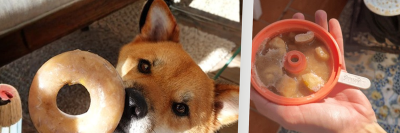 Glace chien recette