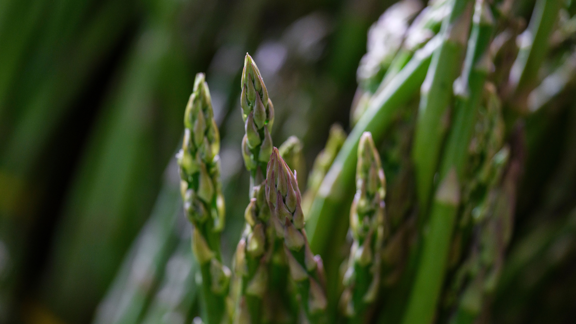 peler une asperge