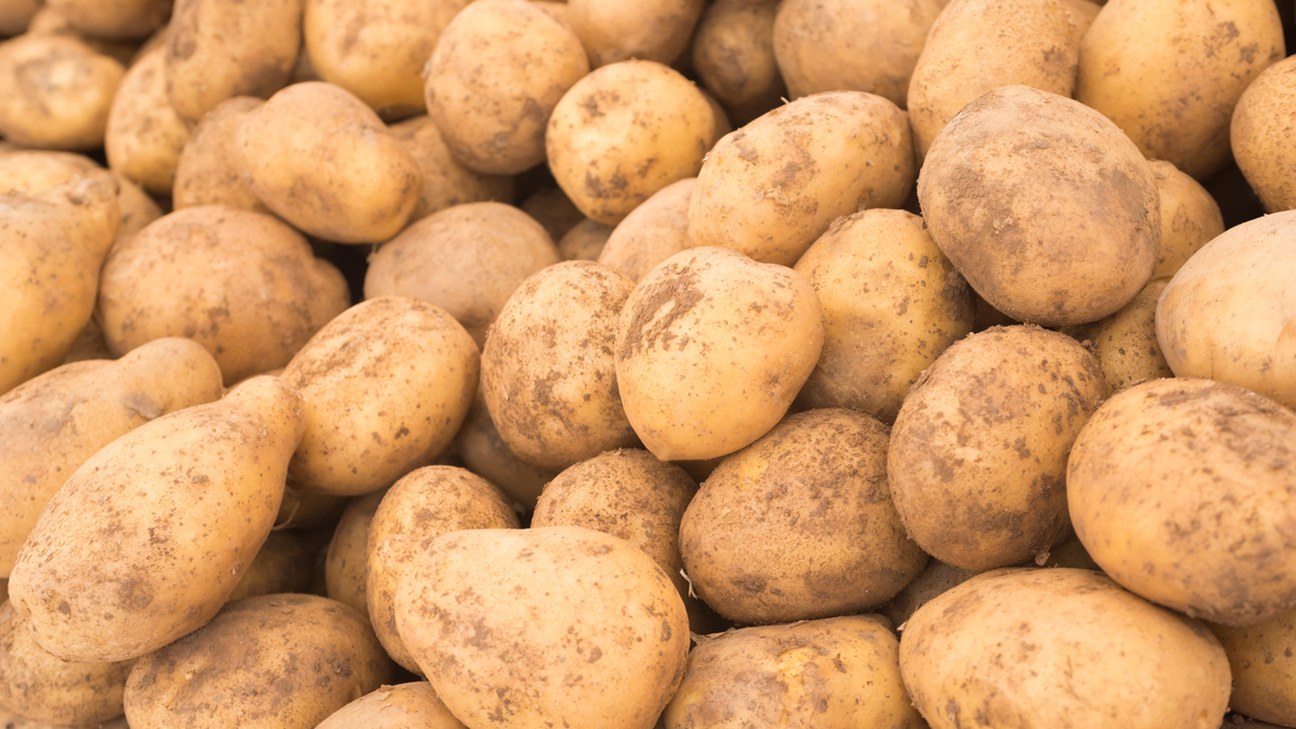Comment tailler une pomme de terre