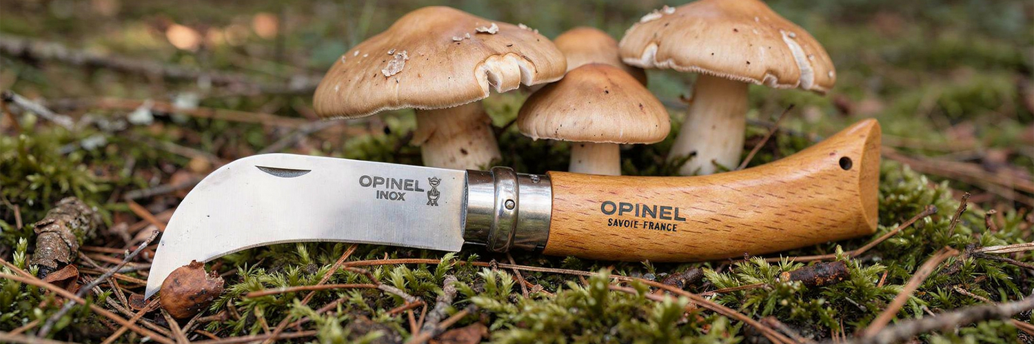 Couteau à champignons