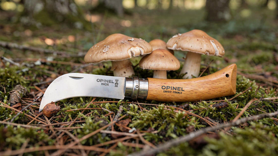 Couteau à champignons
