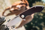 Couteau pliant Böker Arbolito Nahuel 01BA004 manche en bois de guayacan 11,8cm