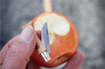 Couteau pliant Opinel Tradition Inox n°02 lame 3,5cm manche hêtre