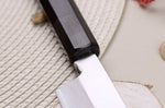 Couteau yanagiba japonais artisanal 30cm Sakai Takayuki Byakko manche en ébène + étui