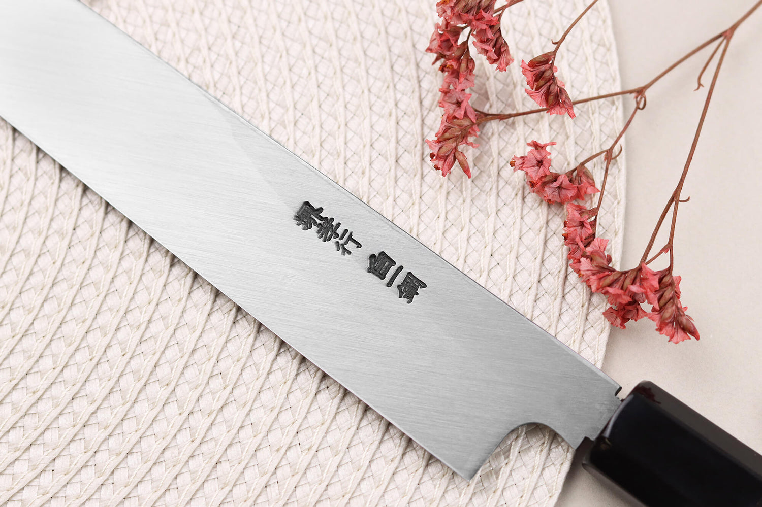 Couteau yanagiba kiritsuke japonais artisanal 27cm Sakai Takayuki Byakko manche en ébène + étui