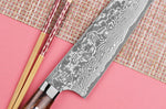Couteau de chef japonais Takeshi Saji R2 Damas Mosaïque 24cm