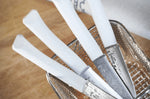Coffret 4 couteaux de table Opinel Bon Appétit + lame 11cm en inox manche en polymère nuage