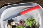 Couteau de table Opinel Bon Appétit + lame 11cm en inox manche en polymère rouge