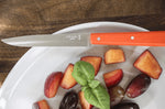 Couteau de table Opinel Bon Appétit Bois n°125 lame 11cm en inox manche en charme mandarine
