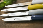 Couteau de table Opinel Bon Appétit Bois n°125 lame 11cm en inox manche en charme nuage