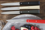Coffret de 4 couteaux de table Opinel Bon Appétit Loft n°125 lames 11cm en inox manches en charme