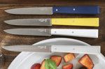 Coffret de 4 couteaux de table Opinel Bon Appétit Céleste n°125 lames 11cm en inox manches en charme