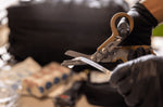 Ciseaux multifonction Leatherman Raptor Rescue Coyote 832174 6 fonctions + étui