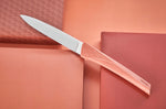 Coffret 6 couteaux Kiana de table lame inox 10,4cm manche terracotta