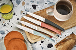 Coffret 6 couteaux Kiana de table lame inox 10,4cm manche terracotta
