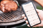 Sonde de foyer EGG Genius pour Big Green Egg