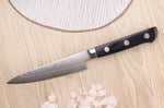 Couteau d'office 13,5cm japonais Satake Cutlery damas 69 couches
