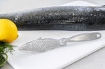 Ecailleur à poisson KitchenCraft en acier inoxydable 21cm
