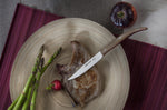 Coffret 4 couteaux à steak Arcos The Origin 11cm manches en micarta beige