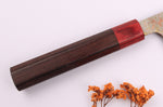 Couteau de chef 24cm japonais artisanal Takeshi Saji VG10 Rainbow Nashiji