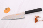 Couteau santoku 18cm japonais artisanal Hatsukokoro Hayabusa Rainbow Damas