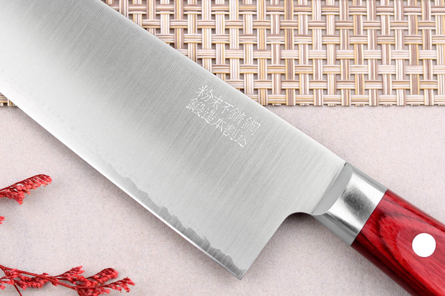 Couteau de chef japonais artisanal Takamura SGR 21cm acier SPG2