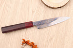 Couteau d'office 13cm japonais artisanal Takeshi Saji VG10 Rainbow