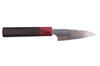 Couteau d'office 9cm japonais artisanal Takeshi Saji VG10 Rainbow