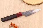 Couteau d'office 9cm japonais artisanal Takeshi Saji VG10 Rainbow