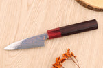 Couteau d'office 9cm japonais artisanal Takeshi Saji VG10 Rainbow