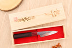 Couteau d'office 9cm japonais artisanal Takeshi Saji VG10 Rainbow