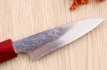 Couteau d'office 9cm japonais artisanal Takeshi Saji VG10 Rainbow