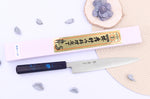Couteau yanagiba japonais 21cm Sakai Takayuki Nanairo manche en résine laqué bleu