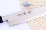 Couteau yanagiba japonais 21cm Sakai Takayuki Nanairo manche en résine laqué bleu