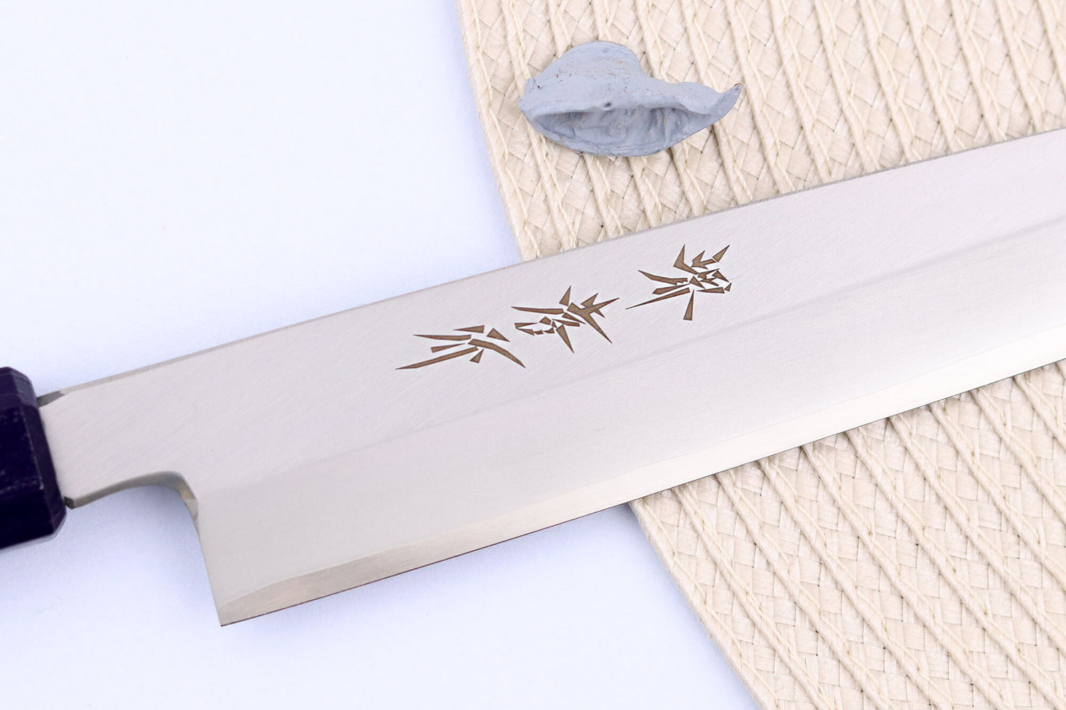 Couteau yanagiba japonais 21cm Sakai Takayuki Nanairo manche en résine laqué bleu