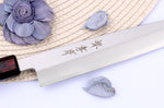 Couteau yanagiba japonais 21cm Sakai Takayuki Nanairo manche en résine laqué rouge