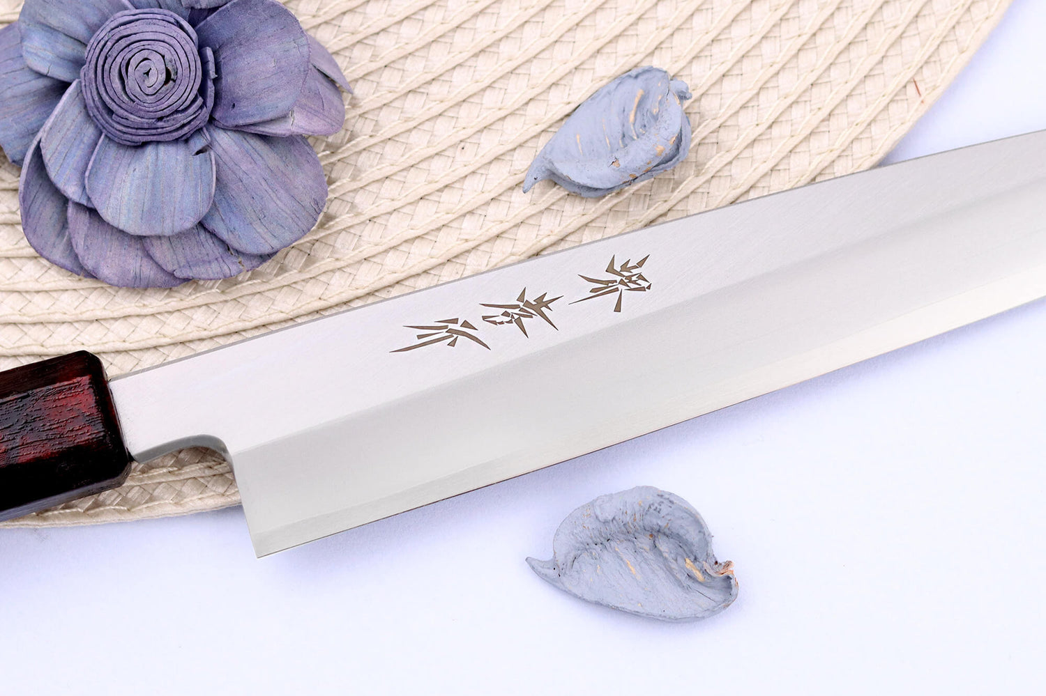 Couteau yanagiba japonais 21cm Sakai Takayuki Nanairo manche en résine laqué rouge