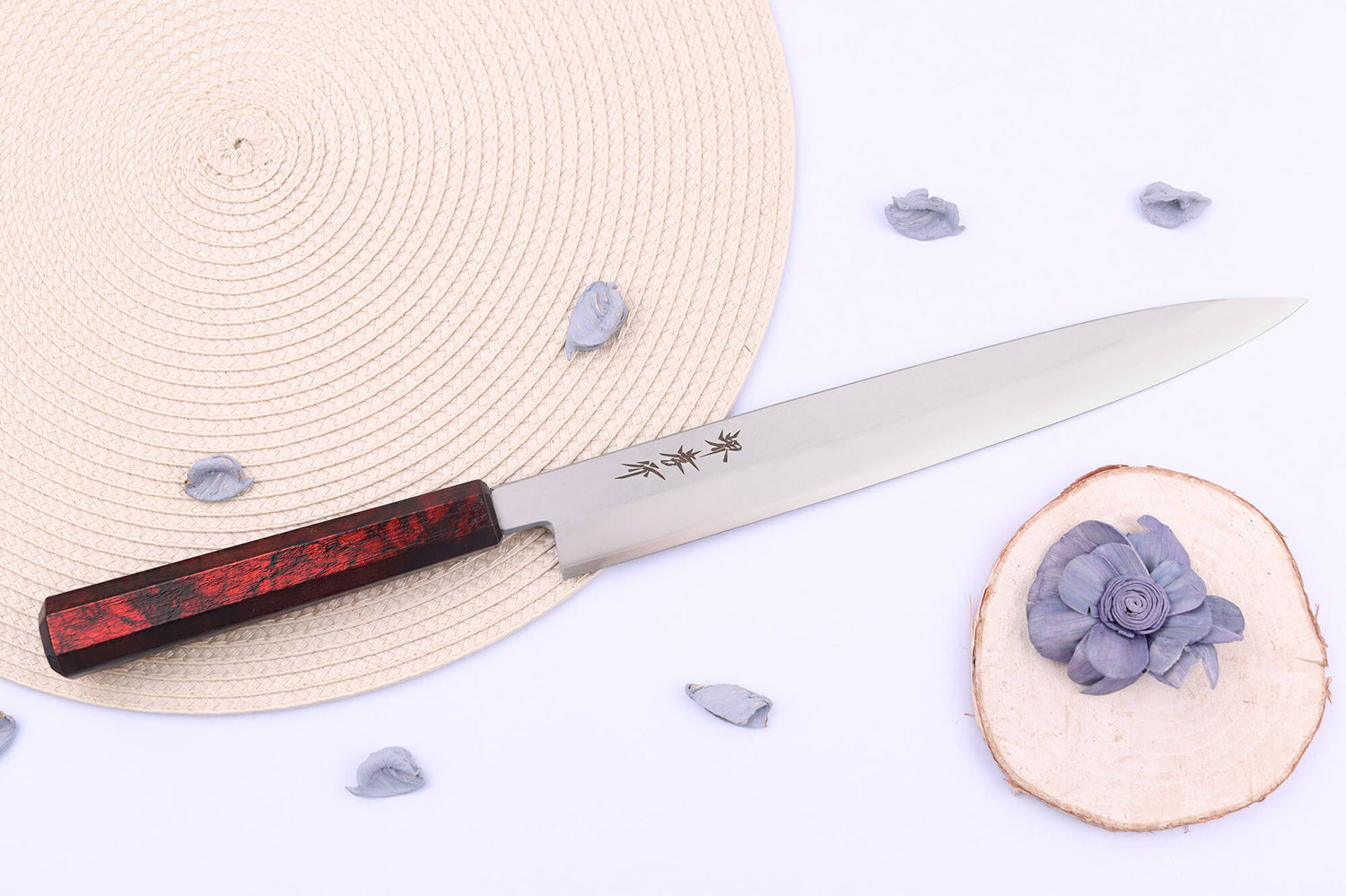 Couteau yanagiba japonais 27cm Sakai Takayuki Nanairo manche en résine laqué rouge