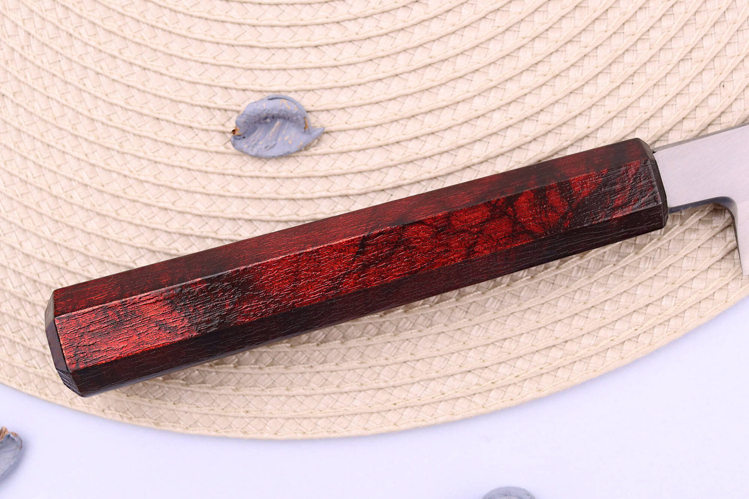 Couteau yanagiba japonais 27cm Sakai Takayuki Nanairo manche en résine laqué rouge
