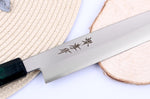 Couteau yanagiba japonais 27cm Sakai Takayuki Nanairo manche en résine laqué vert