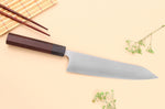 Couteau de chef japonais artisanal Shibata Koutetsu AS 21cm