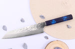 Couteau kiritsuke japonais 19cm Sakai Takayuki Nanairo Blue Damas VG10