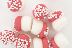 Décors sucrés Scrapcooking Champignons 25g