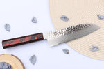 Couteau santoku japonais 17cm Sakai Takayuki Nanairo Wine Damas VG10