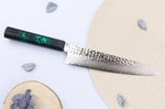 Couteau de chef japonais 21cm Sakai Takayuki Nanairo Green Damas VG10